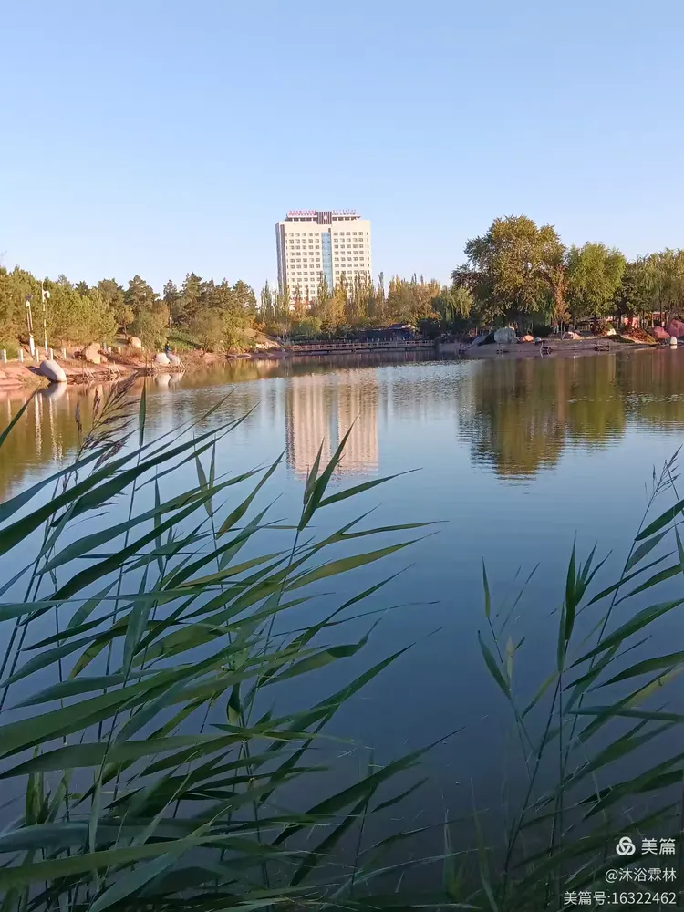 2014通辽市森林公园美景